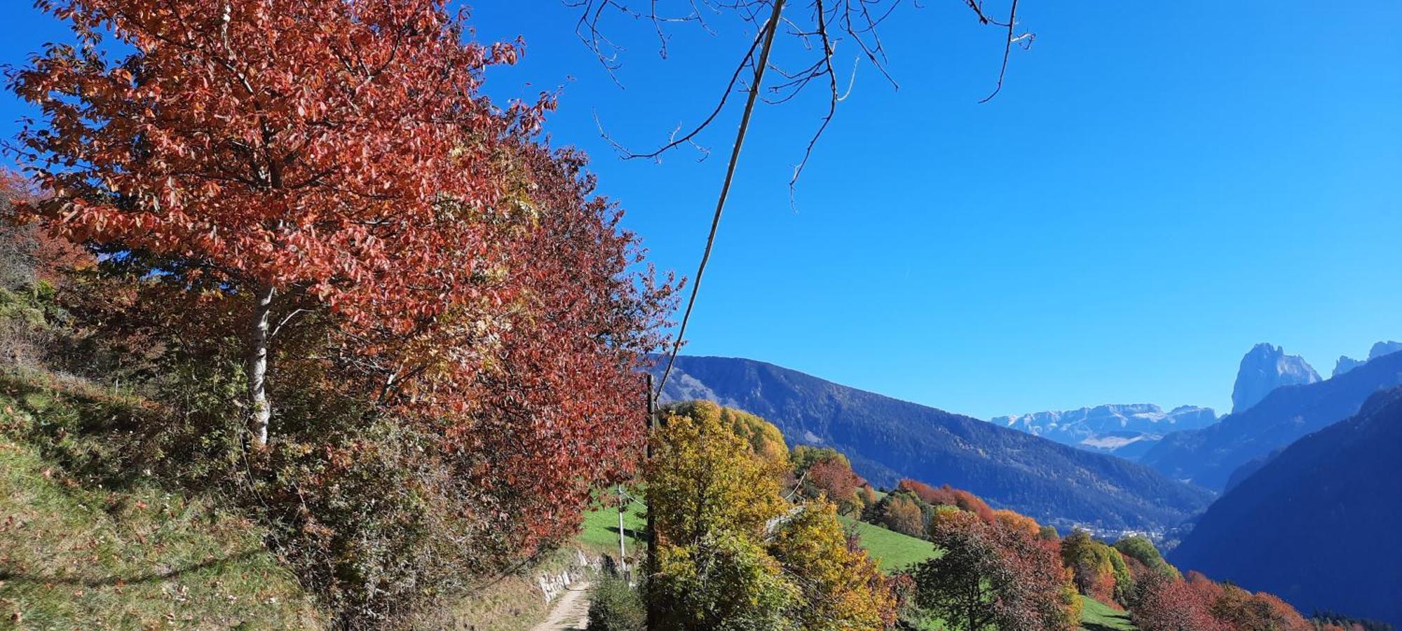 Moarhof Gufidaun Daire Chiusa Dış mekan fotoğraf